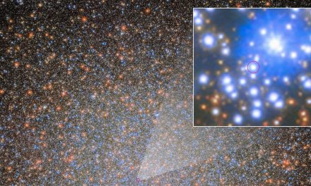 Scoperto il primo buco nero di massa stellare in Omega Centauri