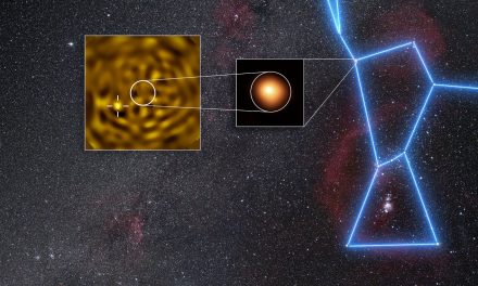 Sì, c’è un’altra stella con Betelgeuse