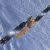 Con Sentinel-1C e Sentinel-1D, il ritorno delle missioni tandem