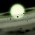 I sorprendenti colori delle nane bianche