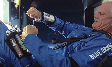 Le piante ‘sentono’ lo spazio prima ancora di arrivarci